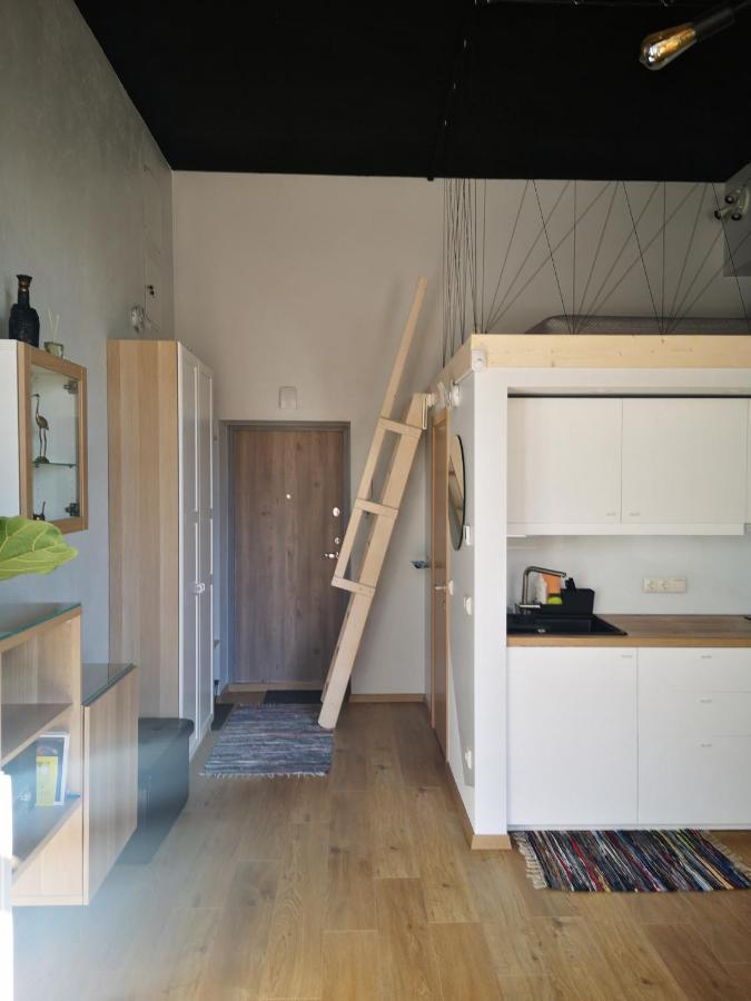 Botanical Garden Studio Kaunas Eksteriør billede